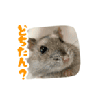 はむずだよ2（個別スタンプ：14）