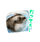 はむずだよ2（個別スタンプ：15）