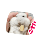 はむずだよ2（個別スタンプ：16）