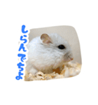 はむずだよ2（個別スタンプ：18）