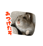 はむずだよ2（個別スタンプ：22）