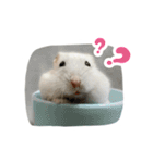 はむずだよ2（個別スタンプ：24）
