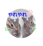 みんなと一緒 2（個別スタンプ：1）