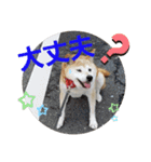 みんなと一緒 2（個別スタンプ：7）