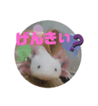 みんなと一緒 2（個別スタンプ：8）