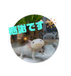 みんなと一緒 2（個別スタンプ：13）