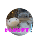 みんなと一緒 2（個別スタンプ：16）