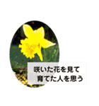 セシボン花の言葉①（個別スタンプ：16）