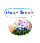 セシボン花の言葉①（個別スタンプ：28）