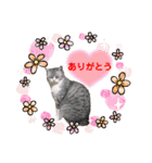 かわいいペット達！！（個別スタンプ：3）