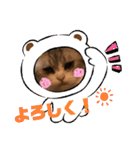 かわいいペット達！！（個別スタンプ：6）