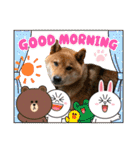かわいいペット達！！（個別スタンプ：7）