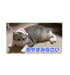 かわいいペット達！！（個別スタンプ：9）