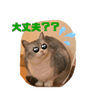かわいいペット達！！（個別スタンプ：11）