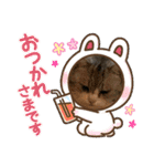 かわいいペット達！！（個別スタンプ：19）
