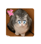 かわいいペット達！！（個別スタンプ：39）