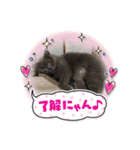 オスニャンズにゃん（個別スタンプ：15）