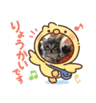 オスニャンズにゃん（個別スタンプ：16）
