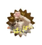 ももとはちみつ ふたりはなかよし（個別スタンプ：5）
