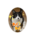 ももとはちみつ ふたりはなかよし（個別スタンプ：8）
