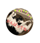 ももとはちみつ ふたりはなかよし（個別スタンプ：9）