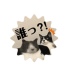 ももとはちみつ ふたりはなかよし（個別スタンプ：10）