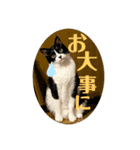ももとはちみつ ふたりはなかよし（個別スタンプ：12）