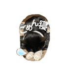 ももとはちみつ ふたりはなかよし（個別スタンプ：14）