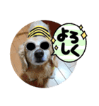 びーちゃん家族【12】（個別スタンプ：30）