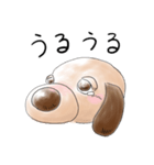 子犬のグーちゃん2（個別スタンプ：5）