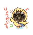 とらおのスタンプ笑笑（個別スタンプ：2）