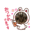 とらおのスタンプ笑笑（個別スタンプ：3）