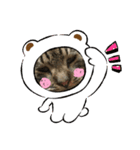 とらおのスタンプ笑笑（個別スタンプ：5）