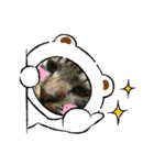 とらおのスタンプ笑笑（個別スタンプ：6）