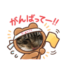とらおのスタンプ笑笑（個別スタンプ：7）