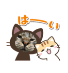 とらおのスタンプ笑笑（個別スタンプ：8）