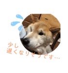梅吉くん 弍の巻（個別スタンプ：5）