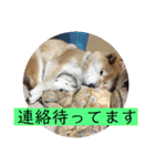 梅吉くん 弍の巻（個別スタンプ：7）