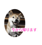 梅吉くん 弍の巻（個別スタンプ：24）