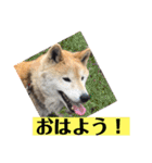 梅吉くん 弍の巻（個別スタンプ：27）