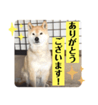梅吉くん 弍の巻（個別スタンプ：32）