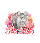 仔猫のチョコちゃん（個別スタンプ：6）
