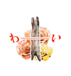 仔猫のチョコちゃん（個別スタンプ：7）