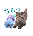 仔猫のチョコちゃん（個別スタンプ：9）