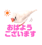 キンカーズの日常Part1（個別スタンプ：1）