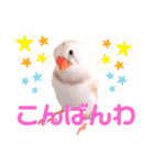 キンカーズの日常Part1（個別スタンプ：3）