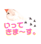 キンカーズの日常Part1（個別スタンプ：5）
