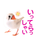 キンカーズの日常Part1（個別スタンプ：6）