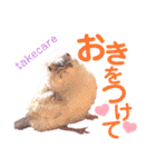 キンカーズの日常Part1（個別スタンプ：7）