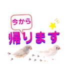 キンカーズの日常Part1（個別スタンプ：8）